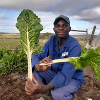 lolomixedfarming