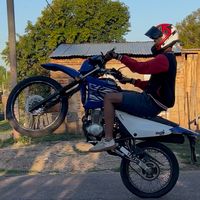 jianalvez33