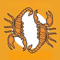 original sound - madondo.sk