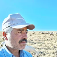 çek baba