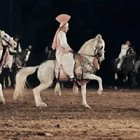 original sound - 0.gondal