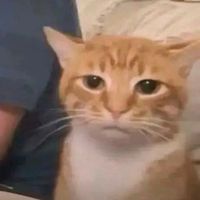 suara asli - PAQUC `cihuy!
