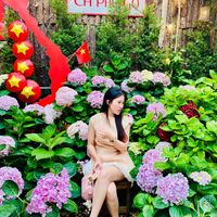 nhạc nền - usere1i3aks85t