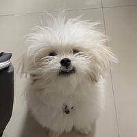 murphy.murph5