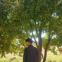 ghostking341
