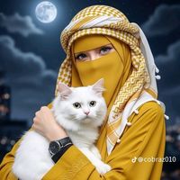 zebibakamal0