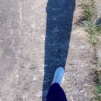 riris33_
