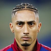 sonegy1x