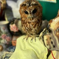 オリジナル楽曲 - れお