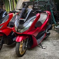 _phuripat_