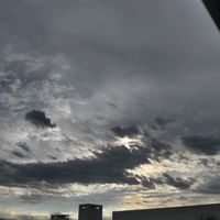 olivietap
