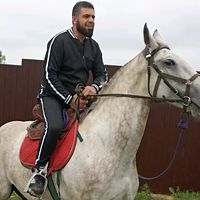 оригинальный звук
