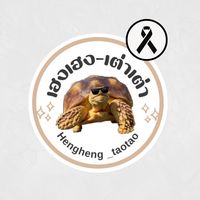 hengheng_taotao