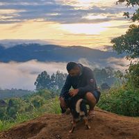 giddynema2