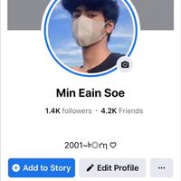 mineainsoe3
