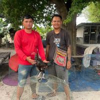 userhpt43zg1h3