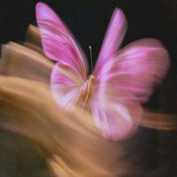 original sound - 🎧