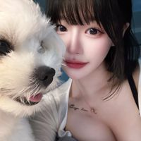 오리지널 사운드 - 다 해