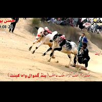 khurramkhurramsha58