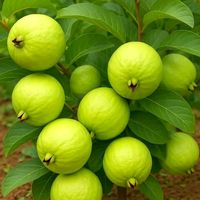 nhạc nền - nhachaycanhđep 0005