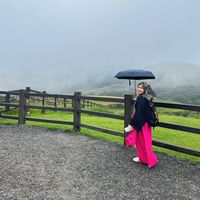 travelwithshahira