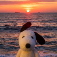 snoopy_lyrics0