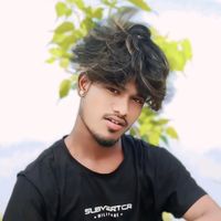 razza_245