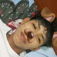 dayer.tambracc