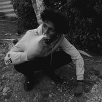 smokey.headchip