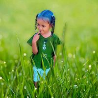 widadomer6