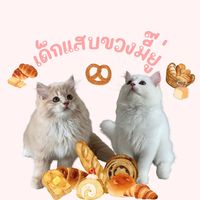 __jaoyuyi