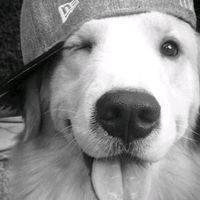 ecoden1die