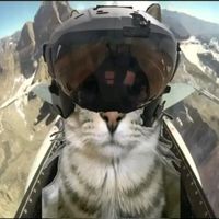 оригинальный звук