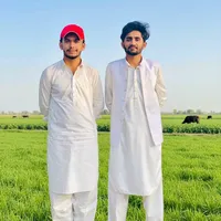 original sound - tarar_dairy_farm_dk