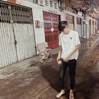 bee_twenty