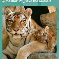 resta torna_ Michael