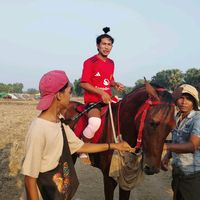 sai.lay2669