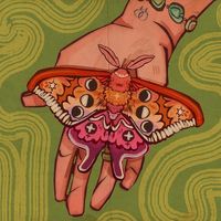 _shirley_my_best_friend_