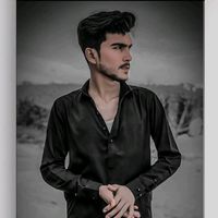 malik.ali8205