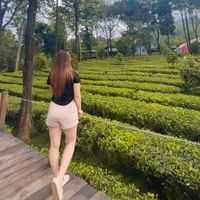 sherlyintan03