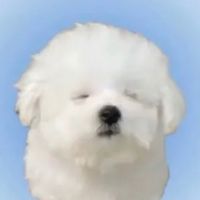 オリジナル楽曲 - bijomuri