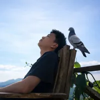 original sound - tuyenvu293