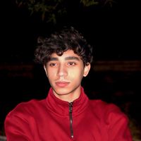 الصوت الأصلي