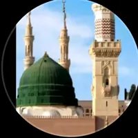 المدينة المنورة