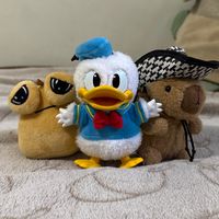 pako_pato28