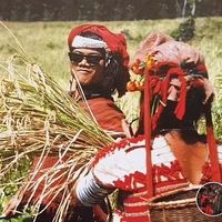 kasemsantyongphai