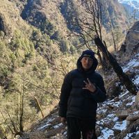 original sound - **.                    -