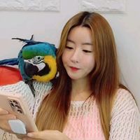 오리지널 사운드 - 노래하는🥇금나라🦜