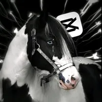 original sound - horse..edits64