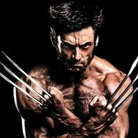 wolverine_1981